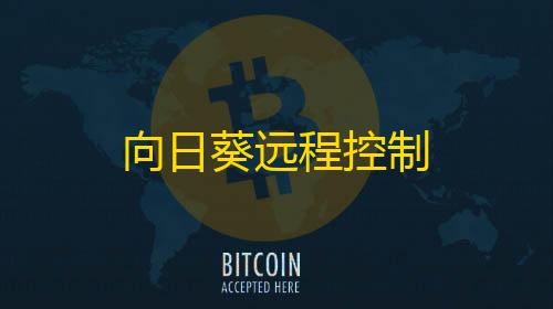 和平精英5级小号网低价向日葵远程控制