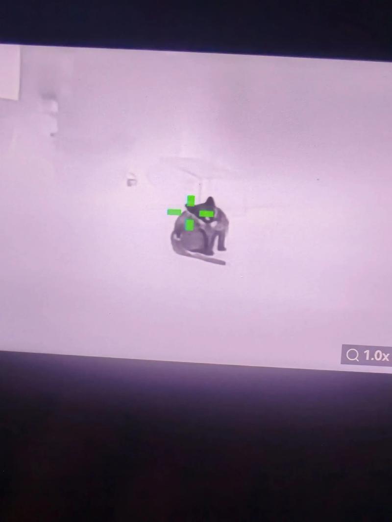 和平精英透视科技免费下载 和平精英透视软件